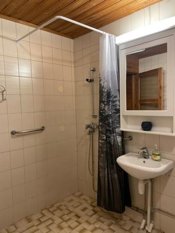 Tiitun Tupa Apartment Ivalo